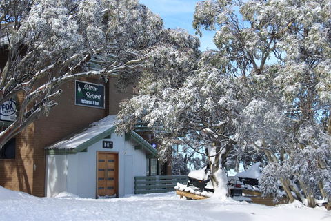 Alpine Retreat Mt Buller - C Tourism 0