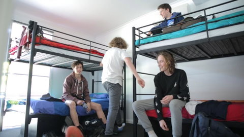 Alpine Sports Lodge - C Tourism 0