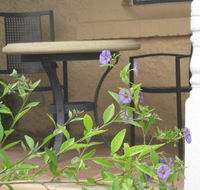 Amalie Cottage Waikerie - C Tourism