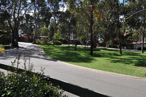 Amaze N Things Holiday Park & Motel - C Tourism 3