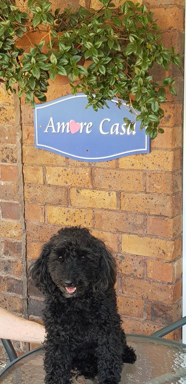 Amore Casa Tenterfield - C Tourism 2