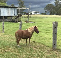 AMs Farm Stay - C Tourism