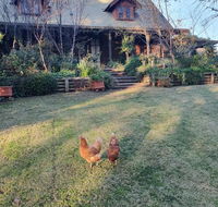 Angaston by the Winter Creek - C Tourism