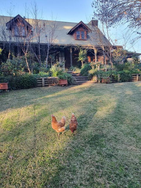 Angaston By The Winter Creek - C Tourism 0