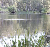 Arcadian Cabin - Southern Highlands River Retreat - C Tourism