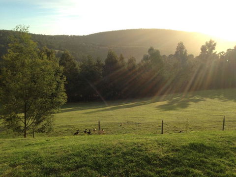 Arjuna Ridge Bed And Breakfast - C Tourism 0