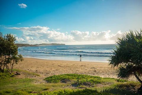 ArtHOUSE Beachfront Accommodation - C Tourism 1