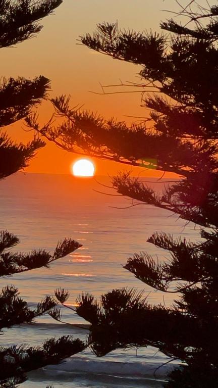 Manly Beachfront Stay - C Tourism 2