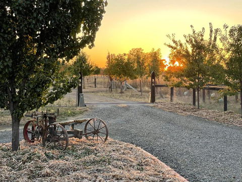 Maple Lane Farm Stay - C Tourism 0
