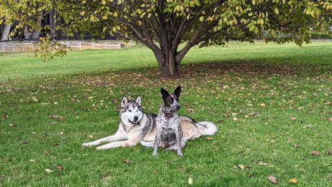 Mountain Culture Farm Stay - Pet Friendly - C Tourism 2