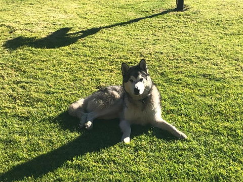 Mountain Culture Farm Stay - Pet Friendly - C Tourism 3