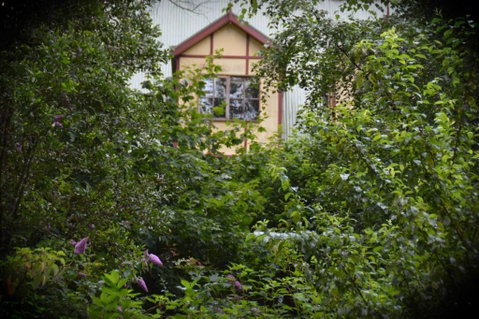 Mountain Lodge - C Tourism 2