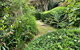 Mountain Villa In Dandenong Ranges - thumb 2