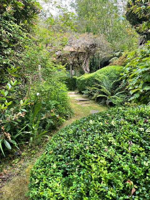 Mountain Villa In Dandenong Ranges - C Tourism 2