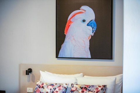 Nightcap At The Charles Hotel - C Tourism 3