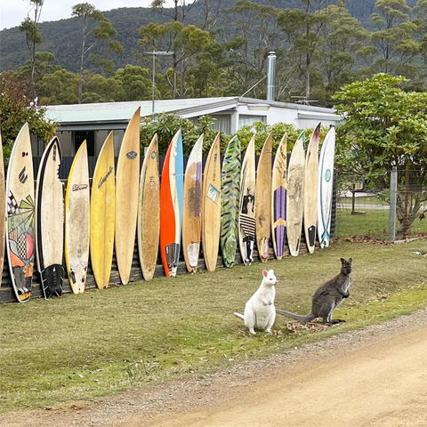 NOFOMO AT ADVENTURE BAY - C Tourism 0