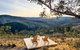 Olive Hill Spa, Views & Home Cinema - thumb 2