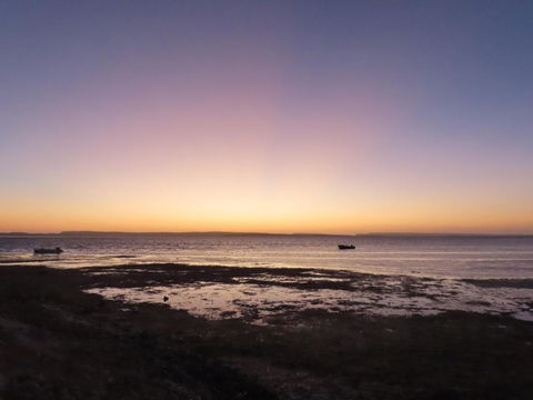 PACEYS PLACE - C Tourism 0
