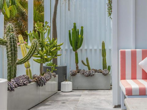 Palm Paradise: Luxury Villa Escape By The Beach - C Tourism 1
