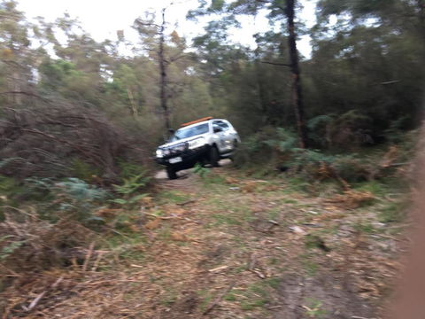 PNL4WDriving Bairnsdale Hub - C Tourism 0