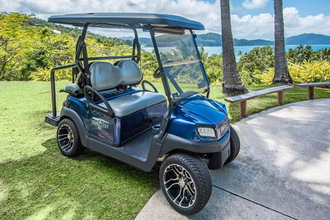 POINCIANA 101 HAMILTON ISLAND CENTRALLY LOCATED 3 BEDROOM, Plus BUGGY!! - C Tourism 0