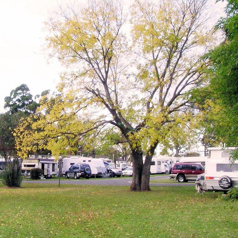 Poplar Tourist Park - C Tourism 2