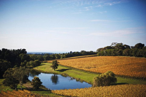 Port Phillip Estate - C Tourism 2