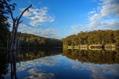 RAC Karri Valley Resort - C Tourism 3