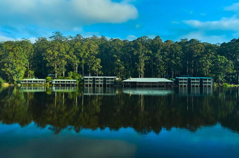 RAC Karri Valley Resort - C Tourism 2