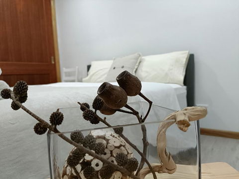 Quiet Nature-Filled Ground Floor Unit - C Tourism 1