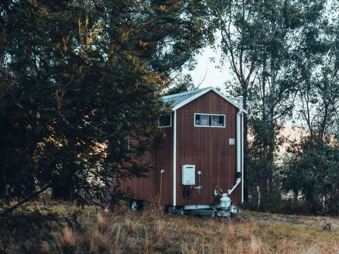 Raintree Farmstay By Tiny Away - C Tourism 1