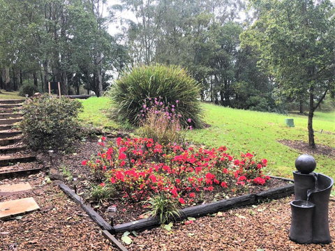 Ravensbourne Escape-Tree Tops - C Tourism 2