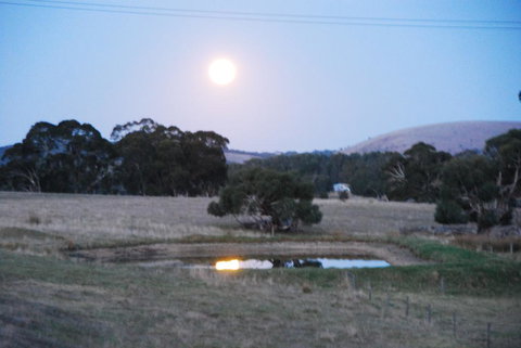 Back Valley Farm Stay Bed And Breakfast - C Tourism 3