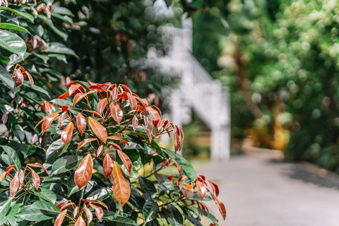 Balmoral Queenslander - C Tourism 2