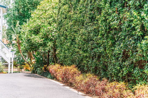 Balmoral Queenslander - C Tourism 3