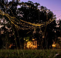 Banyan Tree - C Tourism