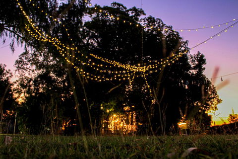Banyan Tree - C Tourism 0