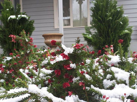 Barton Mill At Marysville - C Tourism 1