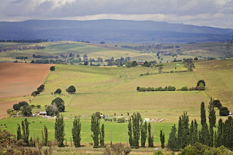 Bathurst Goldfields Motel - C Tourism 2