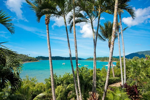 Baybliss Apartments Studio 1 - C Tourism 2