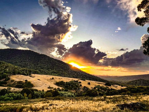 Roam Merrijig - Luxury Stay With Mountain Views - Foothills Of Mt Buller - C Tourism 1