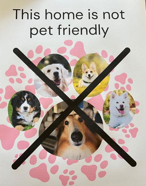 Robey - Robe - C Tourism 1