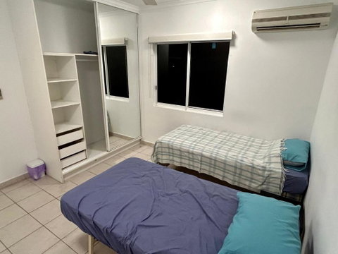 Room In City With Kittens! - C Tourism 2