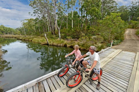 Saintys Creek Cottage - C Tourism 2
