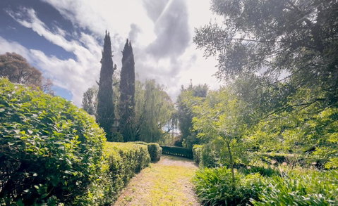 Sanctuary Park Cottages - C Tourism 1
