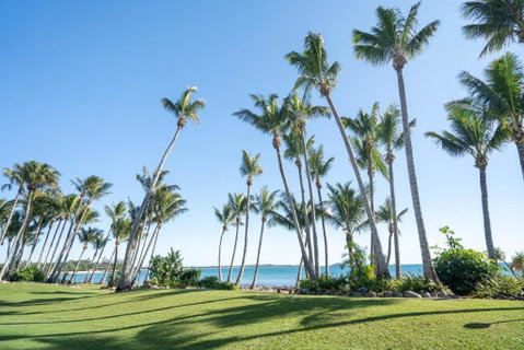 The Bohemian On The Beach - C Tourism 3