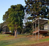 Beechmont Bean Cabins - C Tourism
