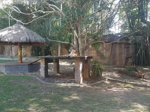 Beerwah House - C Tourism 3