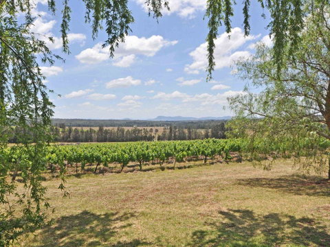 Beggars Bridge Vineyard Homestead W/ Pool + Wifi + Tennis + Vineyard - C Tourism 3