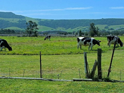 Bella Vista - C Tourism 3